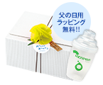 リッチグリーン父の日ギフトセット1箱(3g×30スティック)