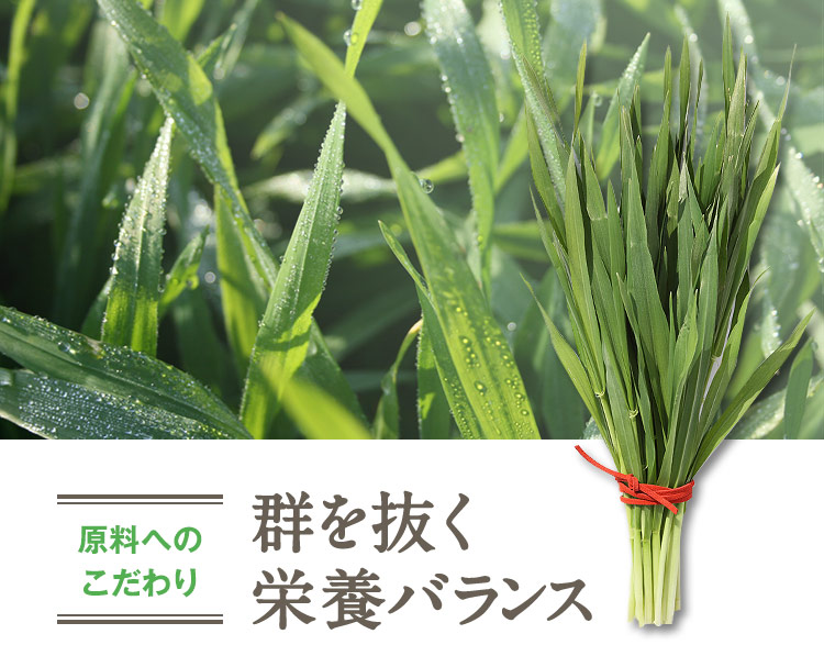 原料へのこだわり 群を抜く栄養バランス